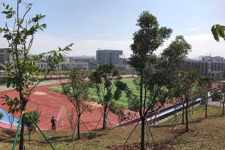 学院倩影